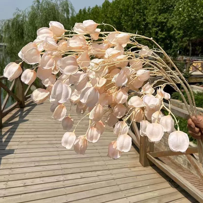 Cream hanging lantern bloom stem