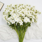 ivory_multi_head_wild_rose_stem_pack