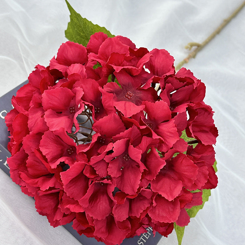 hydrangea-wedding-supply