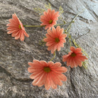 Lime green faux cosmos modern home flower
