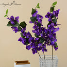 orange_white_bougainvillea