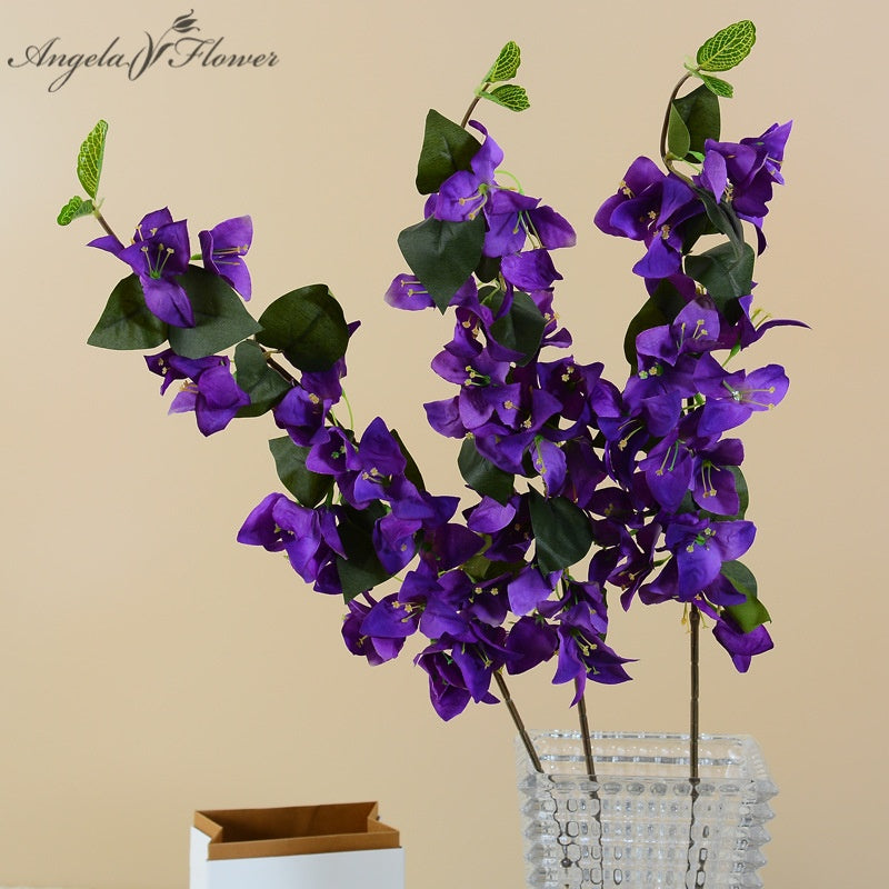 orange_white_bougainvillea