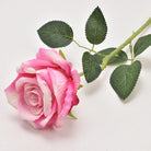 orange_rose_photoshoot_backdrop