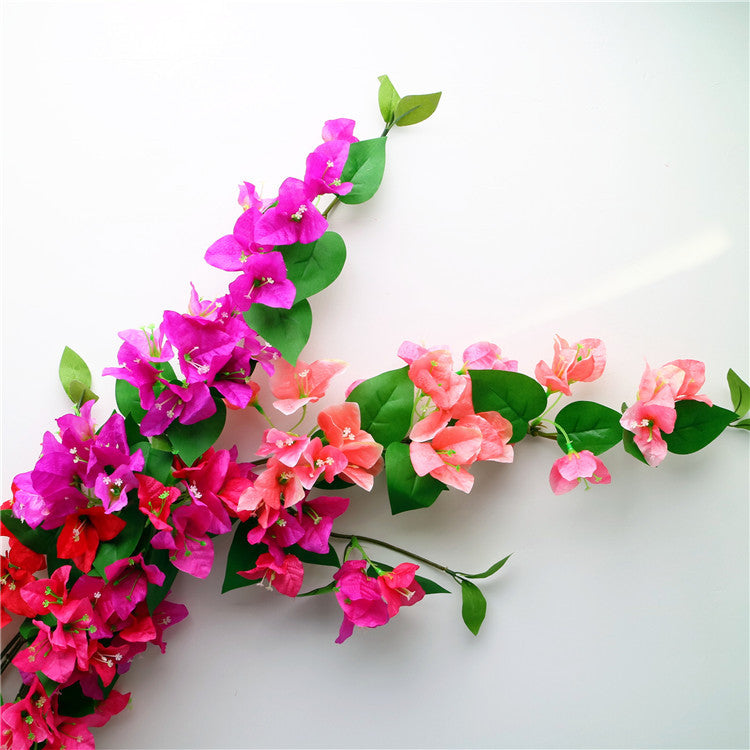 fuchsia_bougainvillea_wood_background