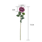 peach_rose_stem_wall_hanging_setup