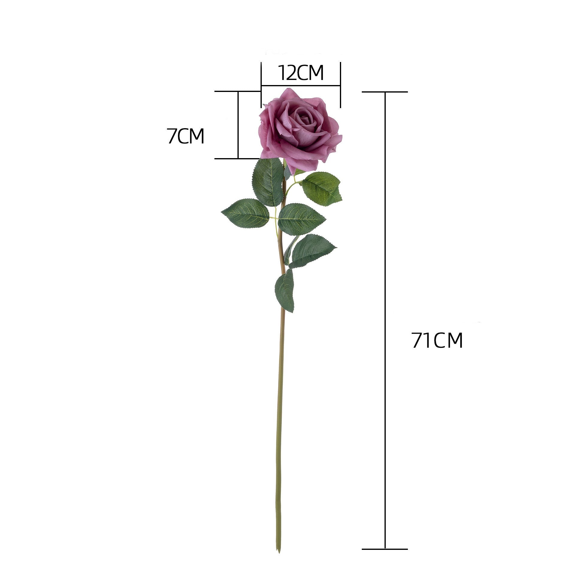 peach_rose_stem_wall_hanging_setup