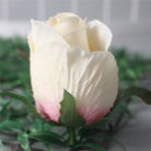 champagne_rose_bud flower material 