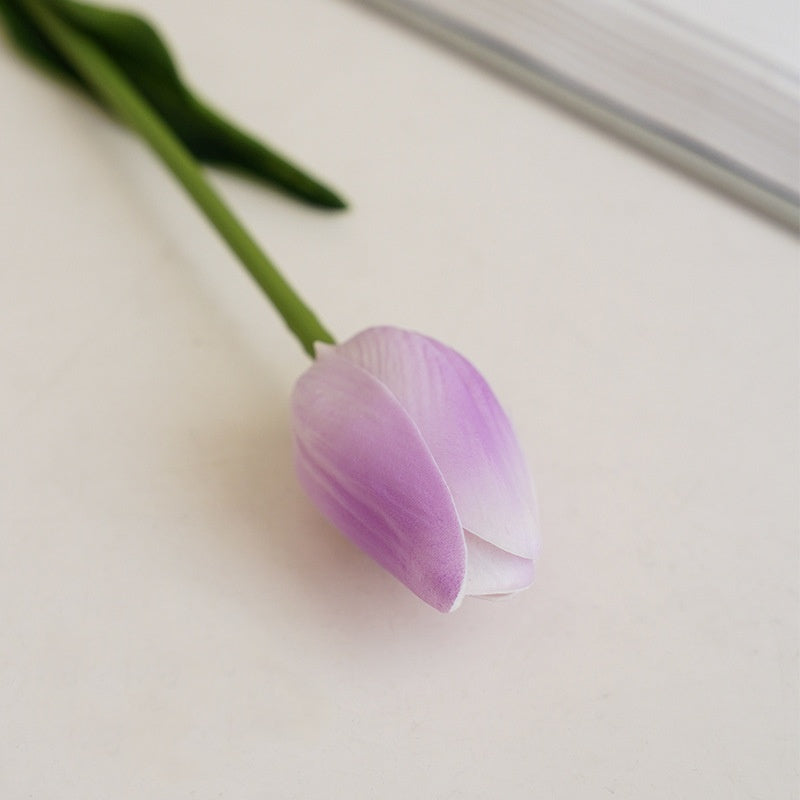 color_sample_set_all_tulip_variants