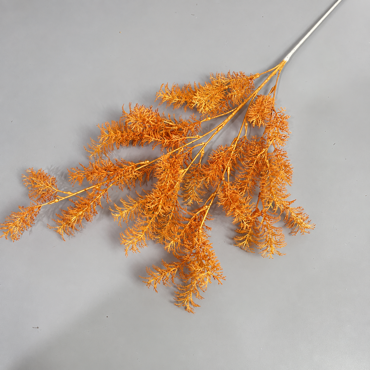 coral_misty_grass_spray