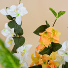 multi_shade_bougainvillea_group