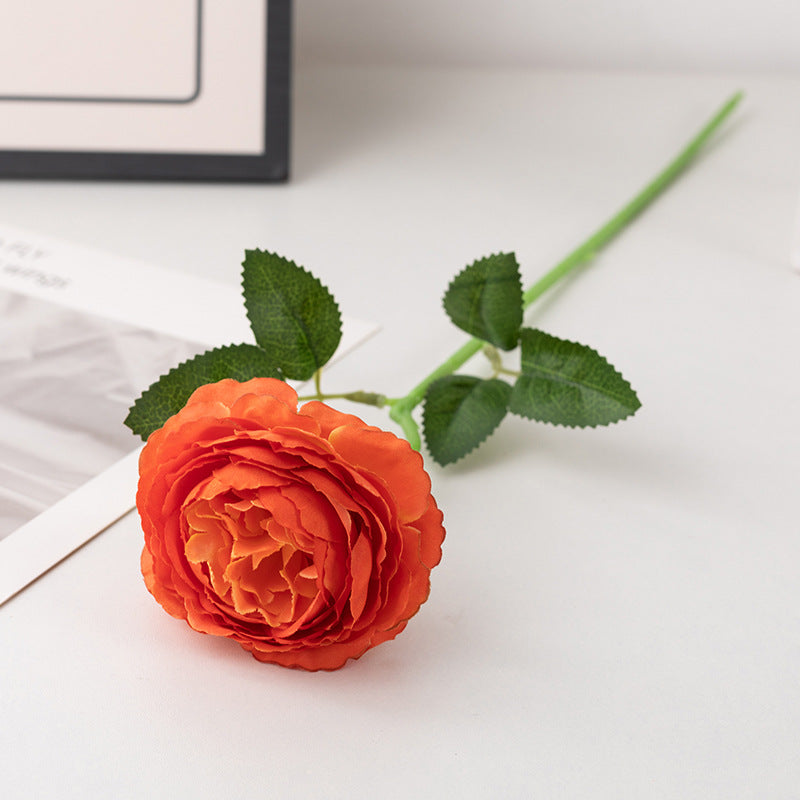 delicate_rose_petal_texture