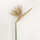 ivory_white_fake_bird_of_paradise_stem_shot
