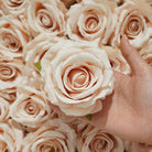 rose-heads-for-wedding-backdrop