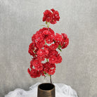 light_peach_cherry_blossom_isolated_shot