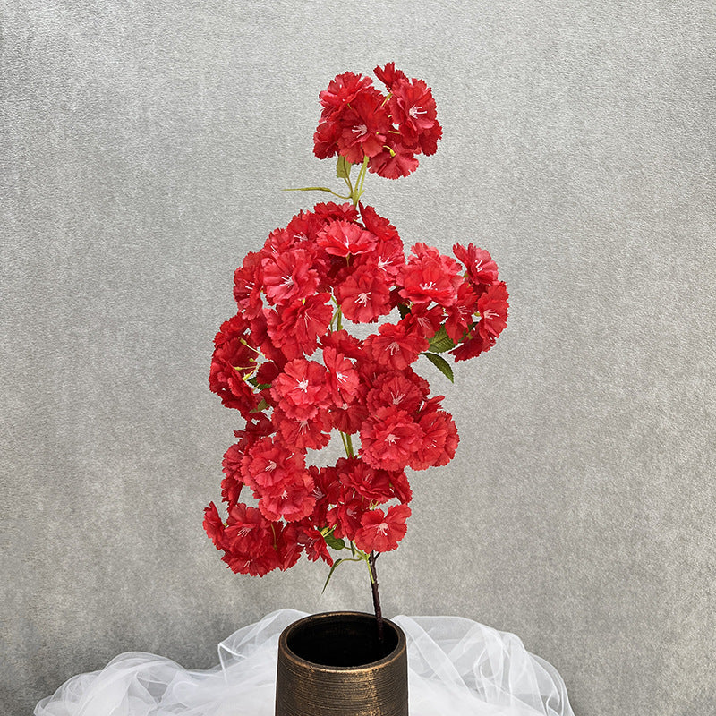 light_peach_cherry_blossom_isolated_shot
