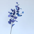 mauve_purple_eucalyptus_stem_detail