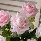 assorted_rose_blooms_fabric_backdrop