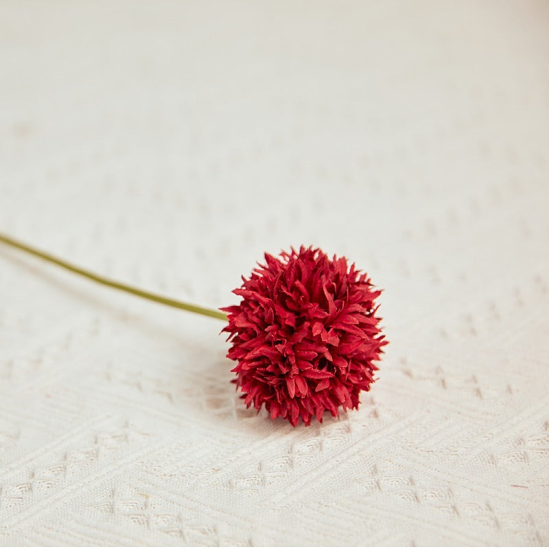 rust_orange_pompom_flower_stem