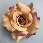 warm_peach_coral_rose_bloom_view