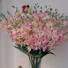 compact_mini_dendrobium_small_bunch