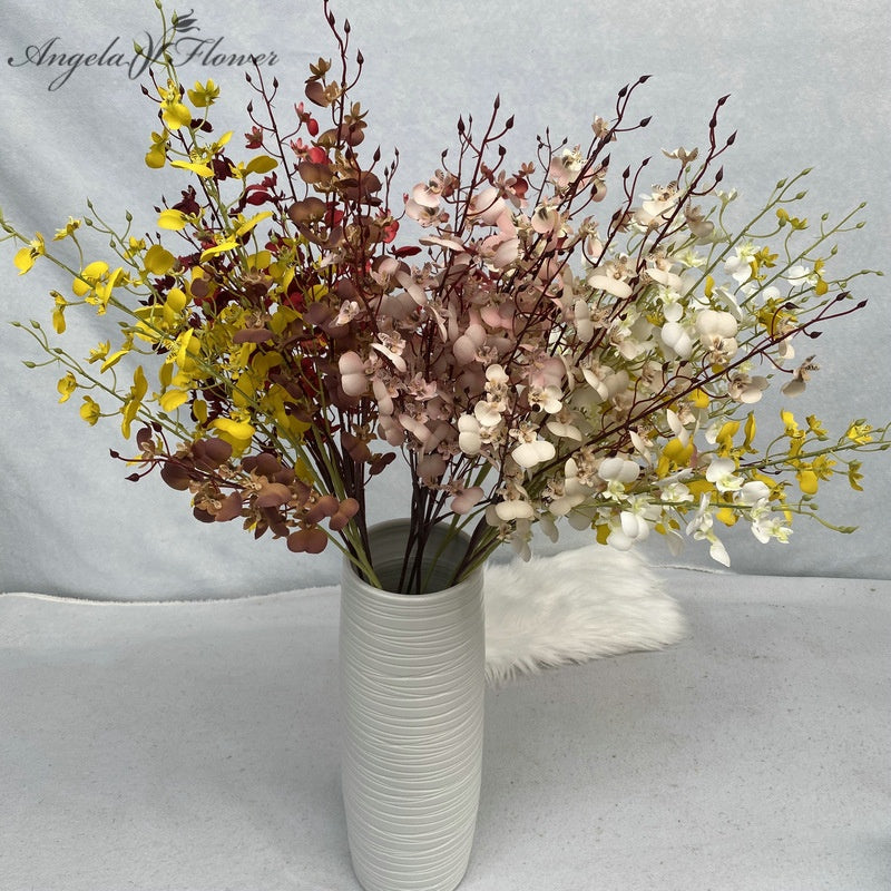 dancing_lady_orchid_multi_shade_collection