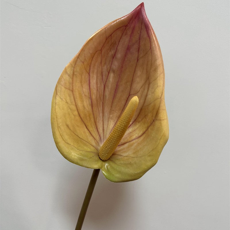 dusty‑magenta‑fake‑anthurium‑flower‑petal‑close‑up