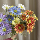 purple_double_summer_daisy