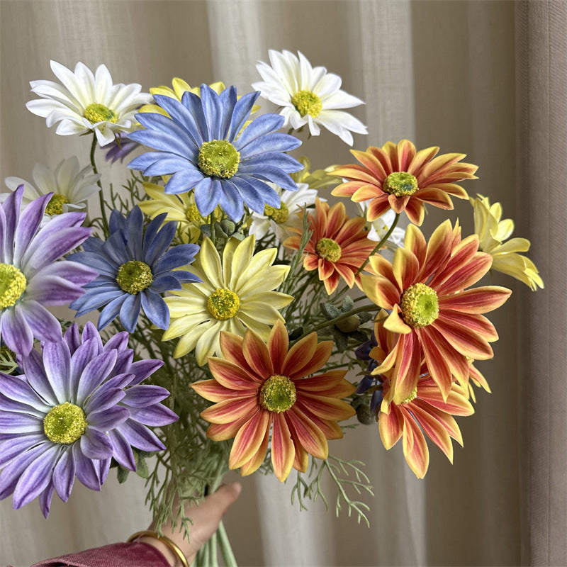 purple_double_summer_daisy