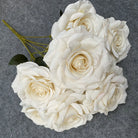 soft_peach_rose_bloom_set
