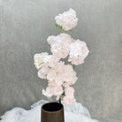 peach_cherry_blossom_gray_backdrop