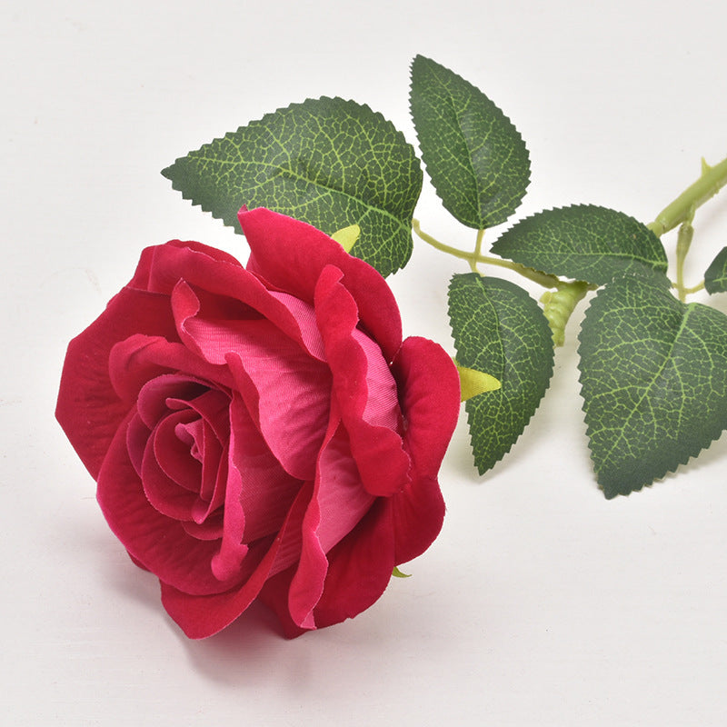 magenta_rose_wedding_backdrop