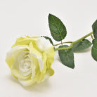 blush_rose_floral_craft_supply