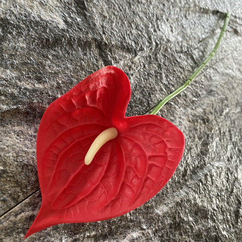 hot_pink_anthurium_single_bloom