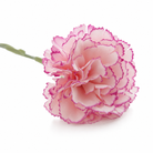 carnation_restaurant_table_setting