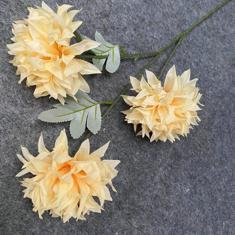 rich_autumn_dahlia_bloom_group