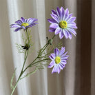 amber_summer_daisy_sprig
