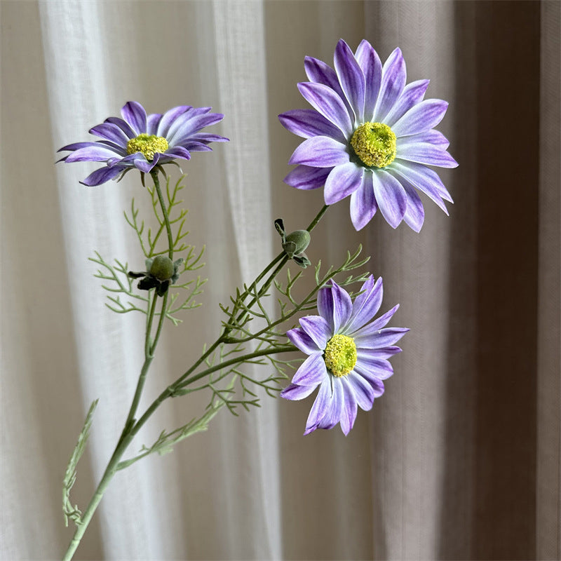 amber_summer_daisy_sprig