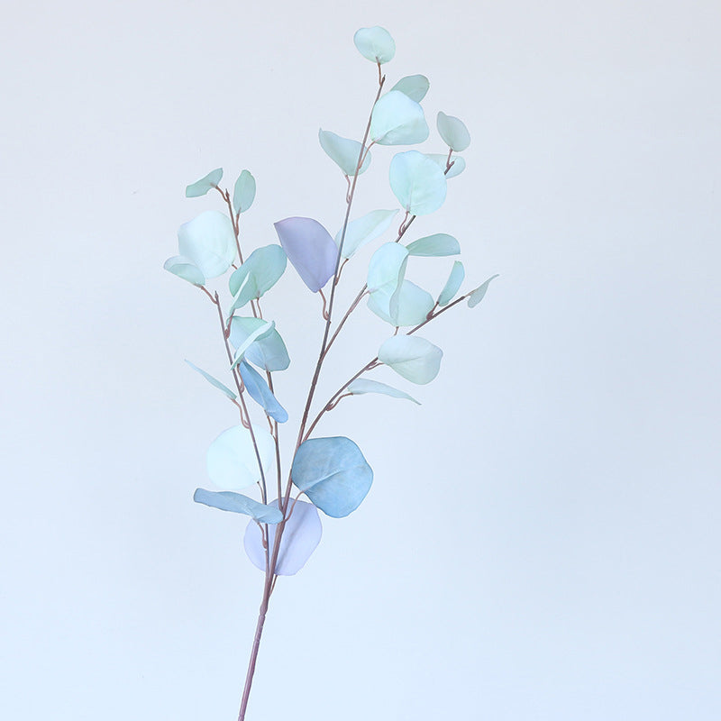 boho_eucalyptus_greenery_bundle