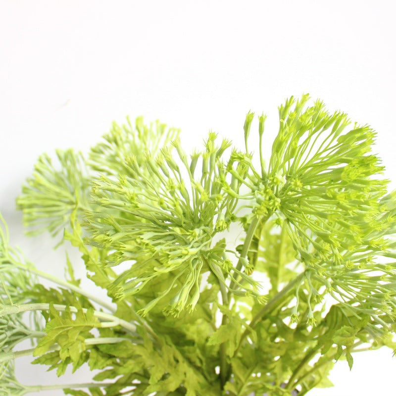spring_green_simulation_umbel_plant_pick