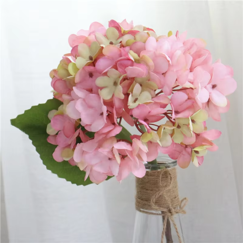 deep_blue_hydrangea