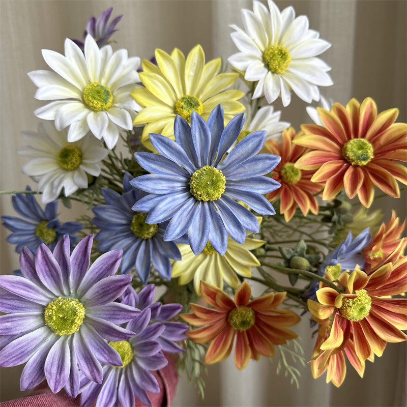 handheld_cosmos_bouquet_capture