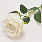 royalblue_rose_close_up_texture