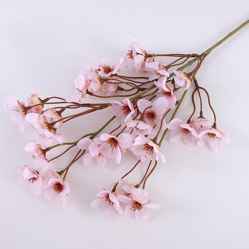bloom_plum_floral_stem_closeup