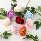 vibrant_rose_bloom_mixed_display