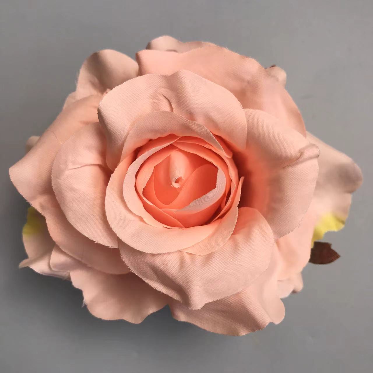 two_tone_hotpink_vintage_rose