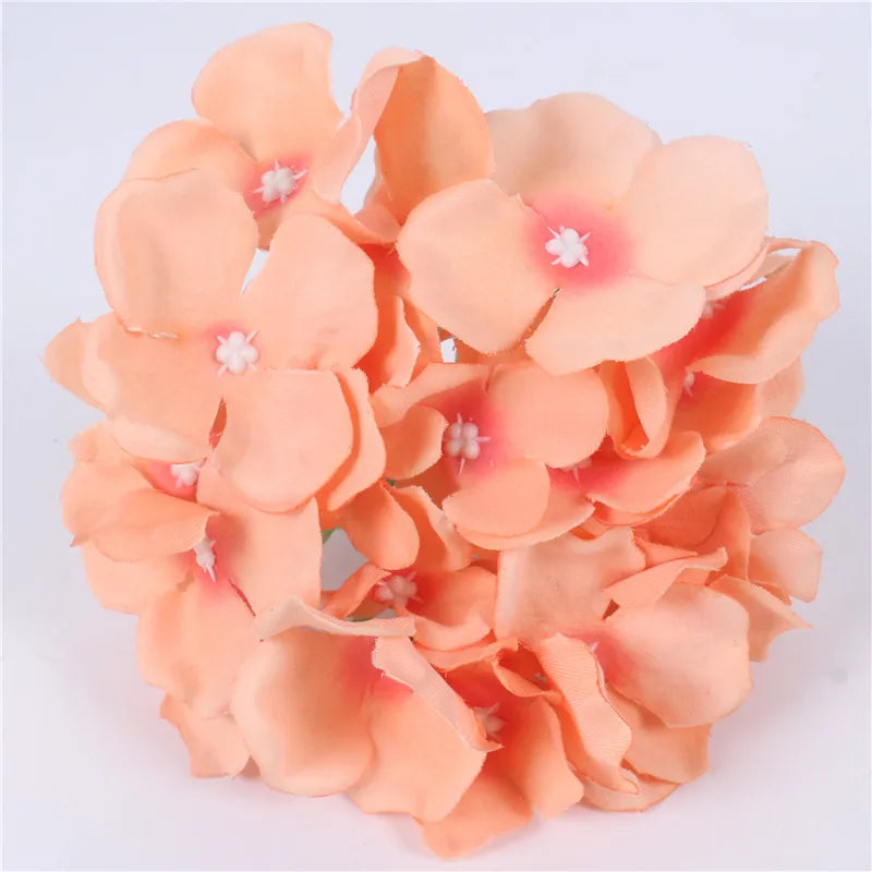 hydrangea floral head 