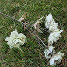 deep_wine_faux_clematis_flat_view