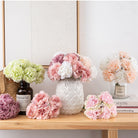pastel_pink_peony_bloom_closeup