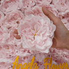 Romantic blush peony flower closeup