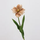 dusty_shade_clematis_modern_styling